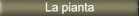 Pianta